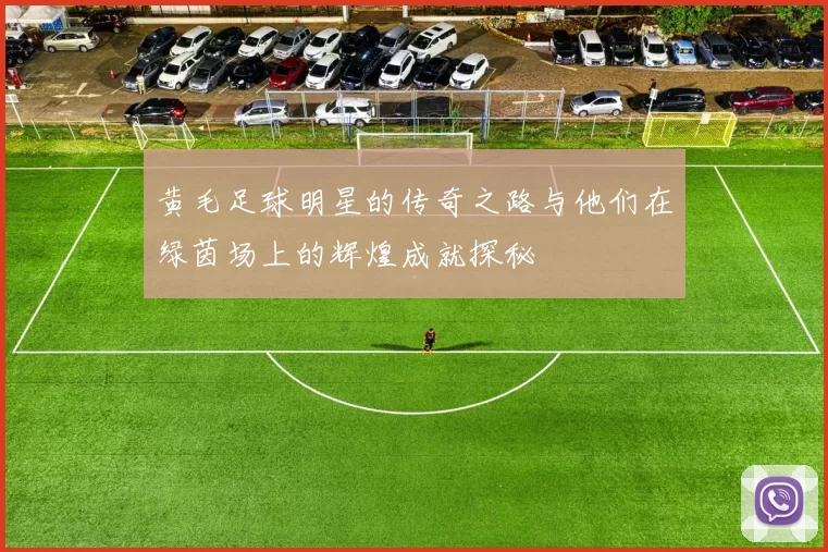 黄毛足球明星的传奇之路与他们在绿茵场上的辉煌成就探秘
