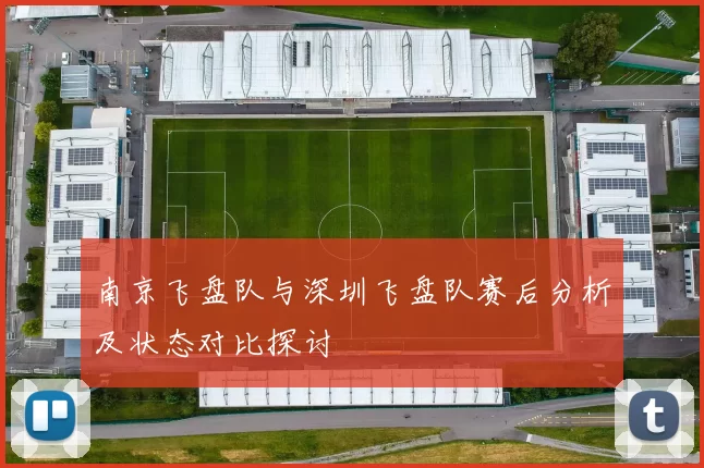 南京飞盘队与深圳飞盘队赛后分析及状态对比探讨