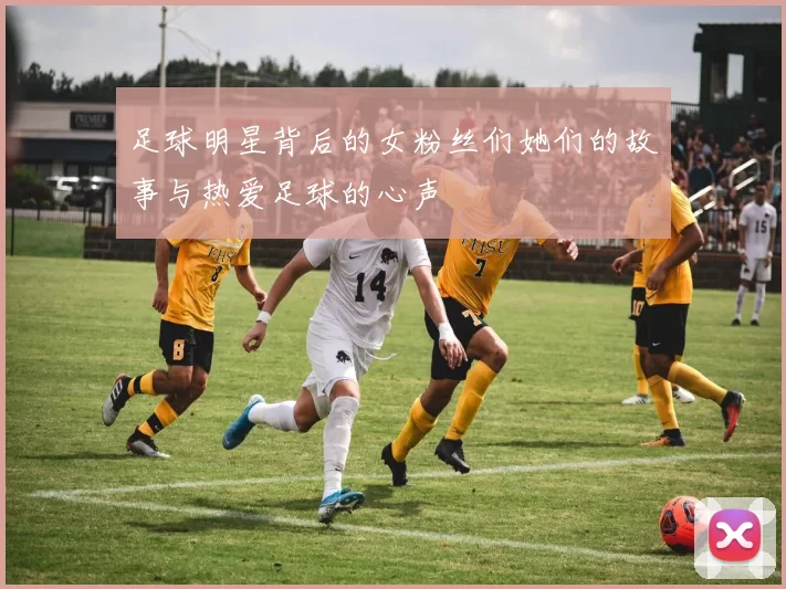 足球明星背后的女粉丝们她们的故事与热爱足球的心声