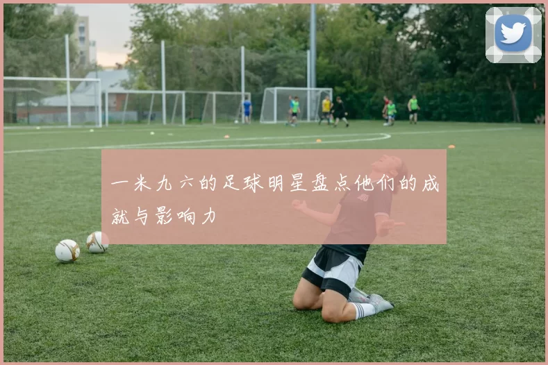一米九六的足球明星盘点他们的成就与影响力
